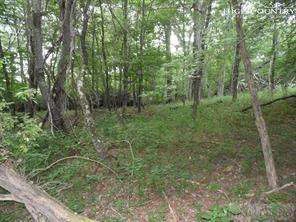 Image number 9 for the current listing