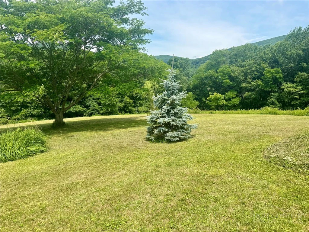 Image number 19 for the current listing