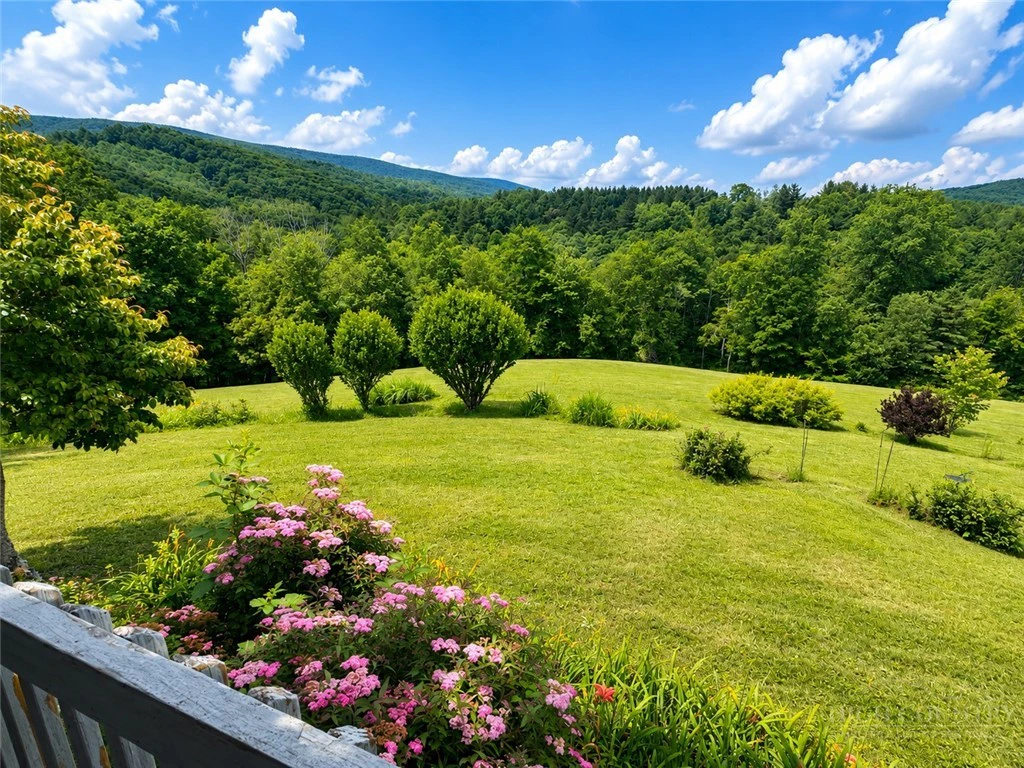 Image number 2 for the current listing