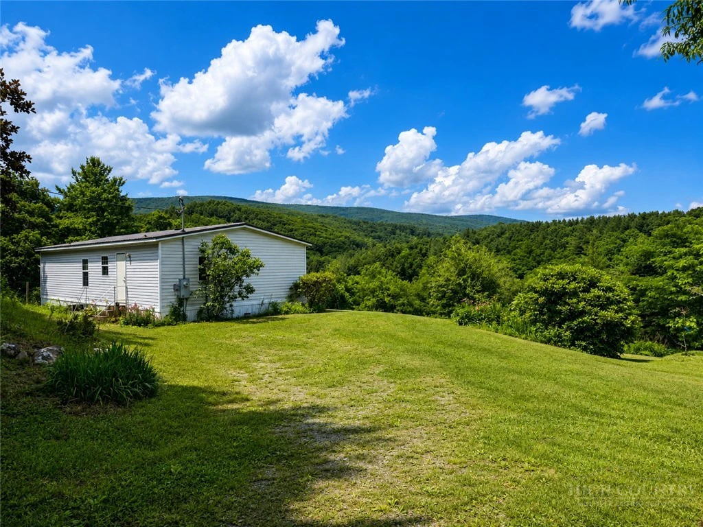 Image number 5 for the current listing
