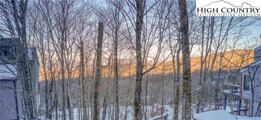 Image number 3 for the current listing