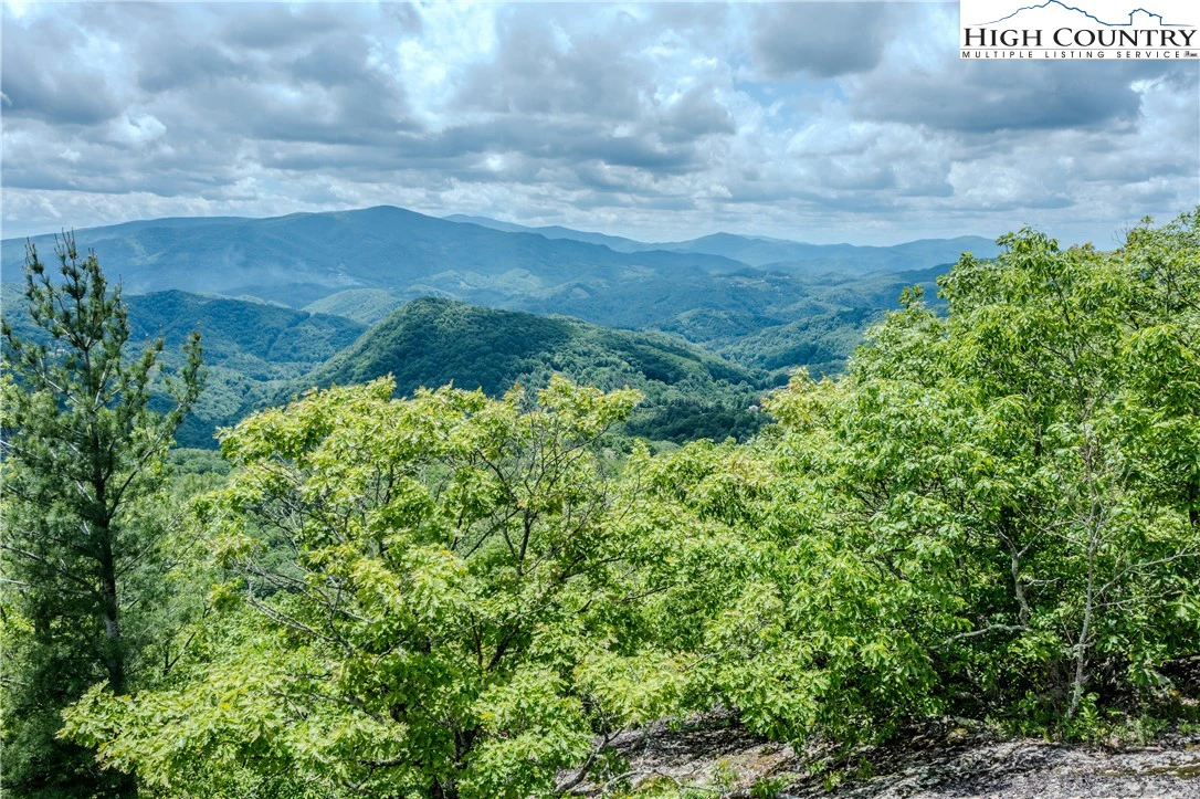 Image number 1 for the current listing