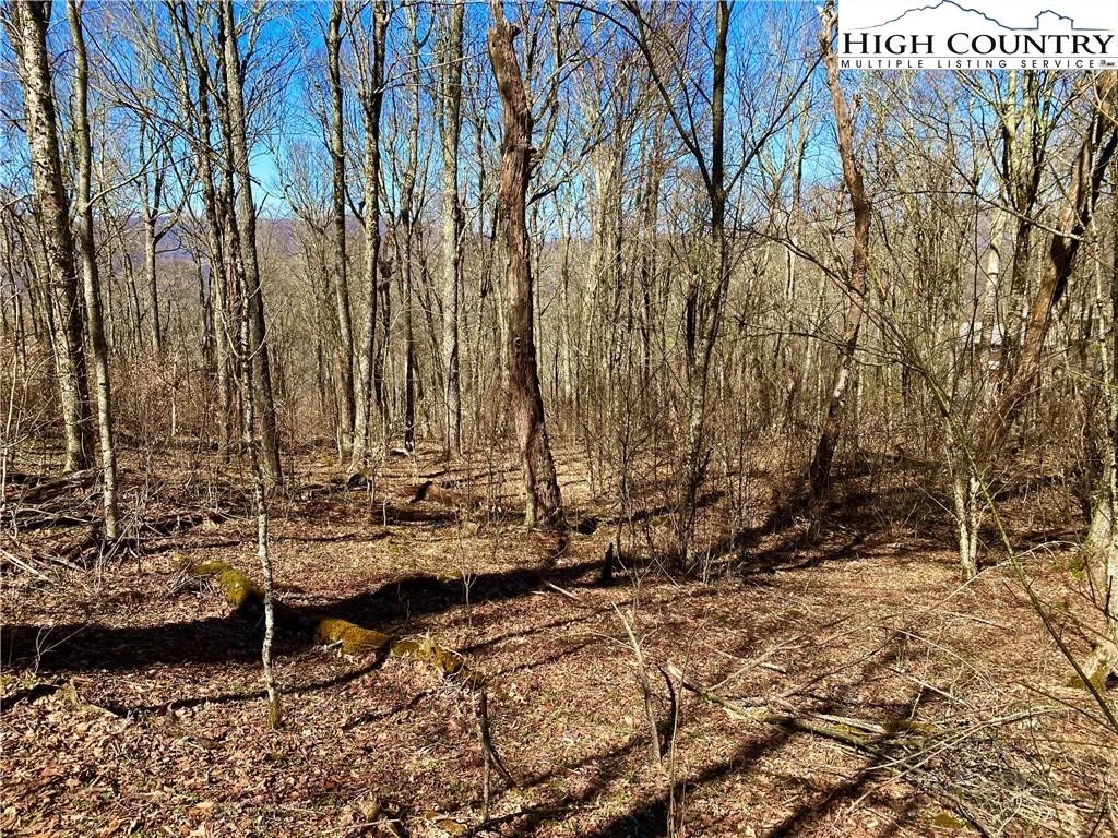 Image number 1 for the current listing