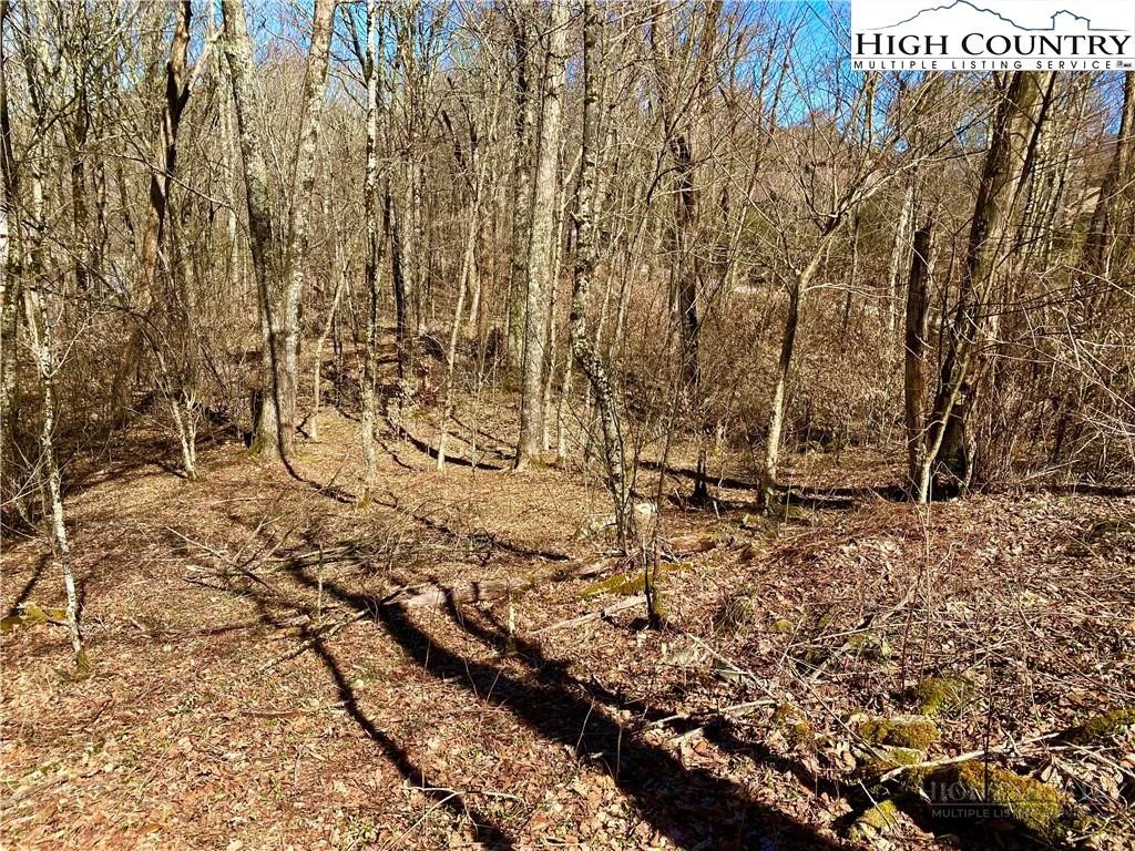 Image number 4 for the current listing