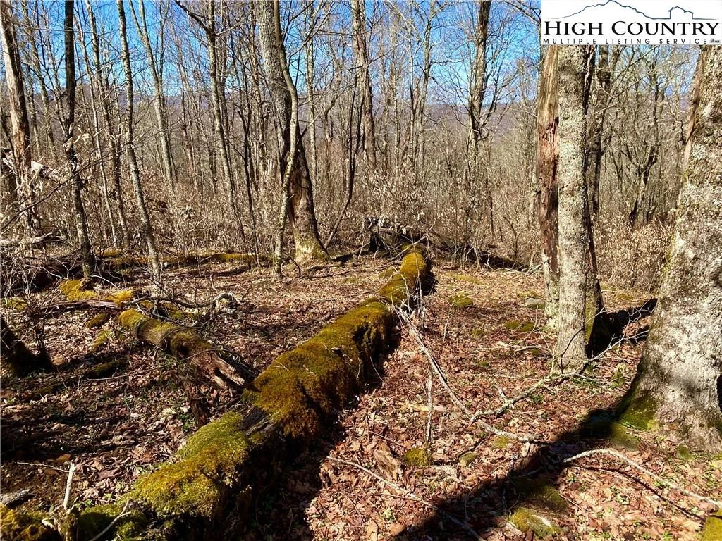 Image number 5 for the current listing