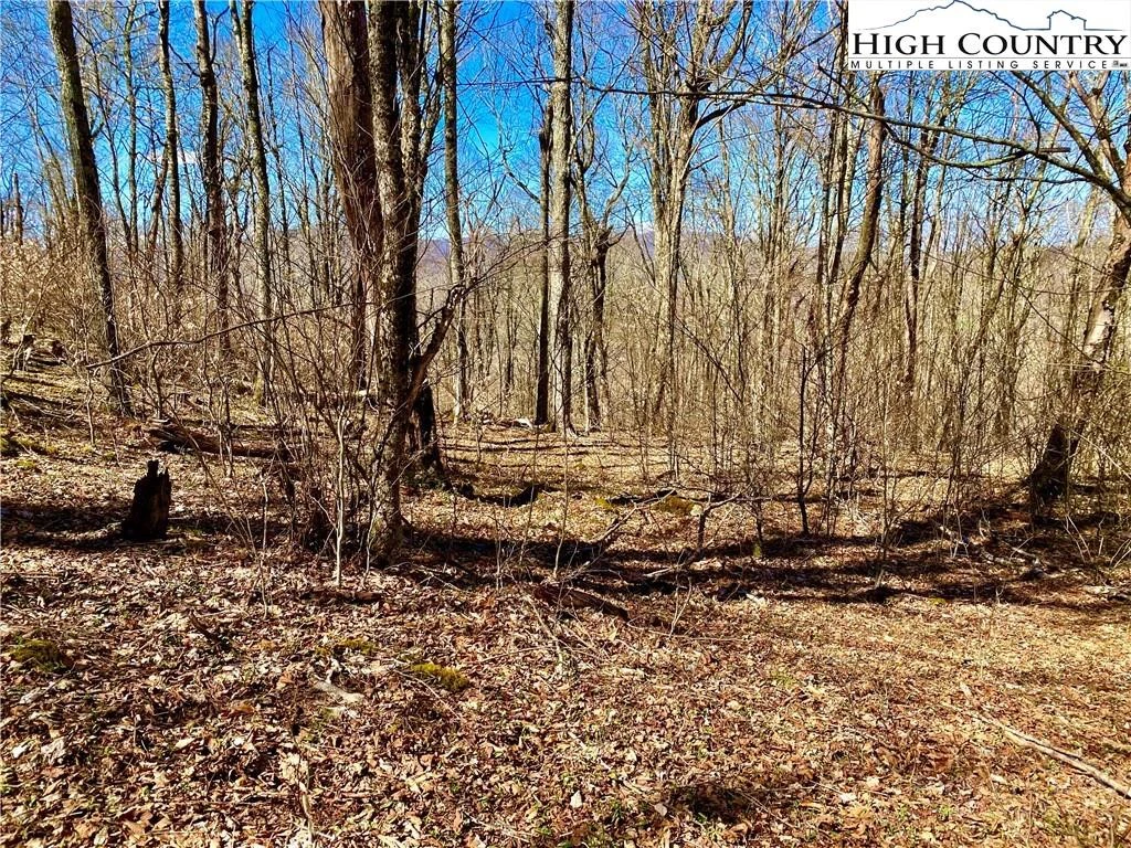 Image number 6 for the current listing
