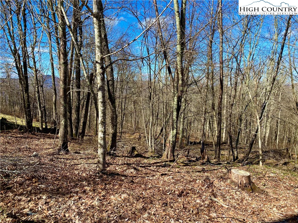 Image number 1 for the current listing