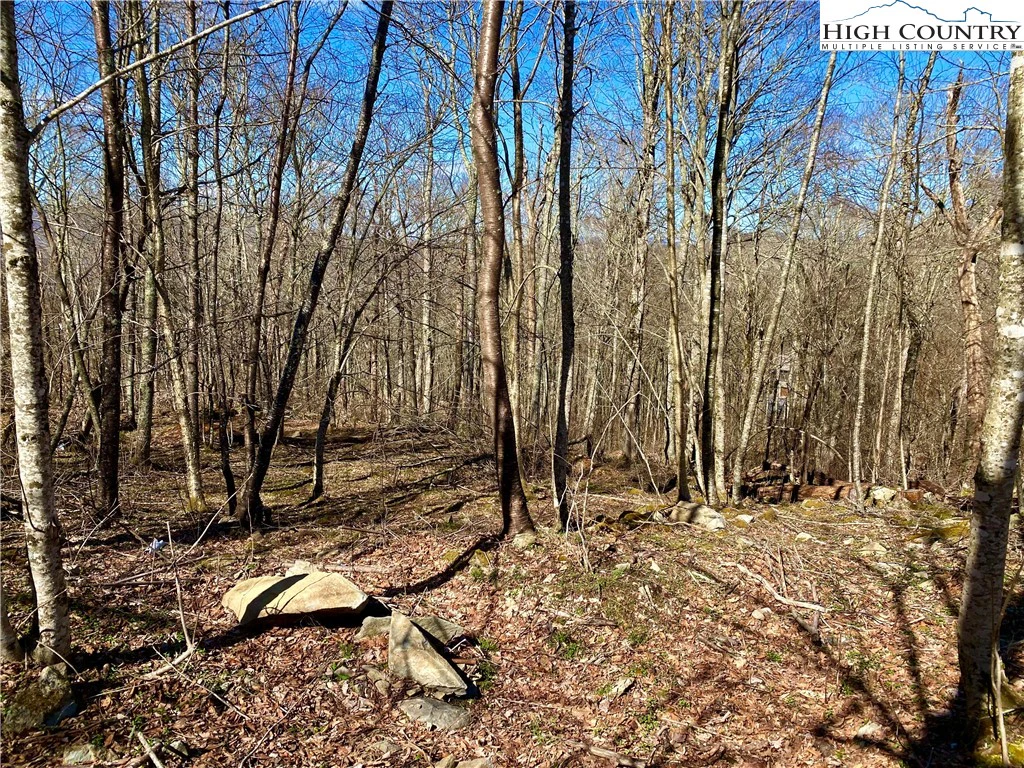 Image number 3 for the current listing