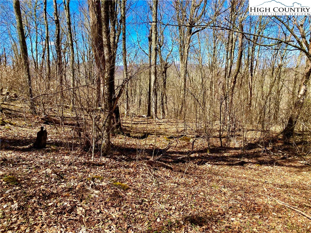 Image number 7 for the current listing