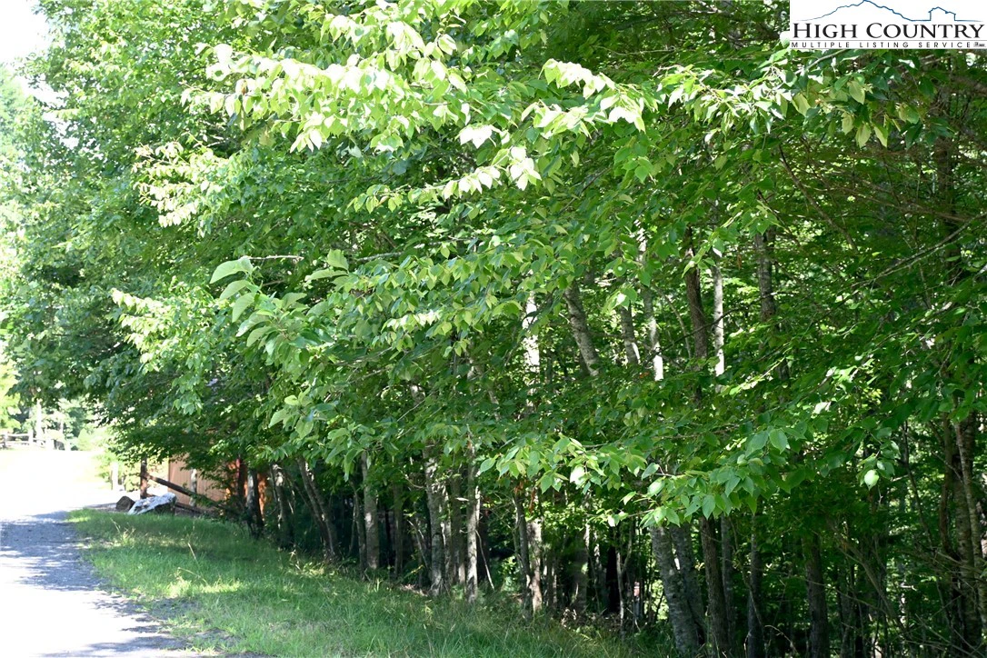 Image number 3 for the current listing