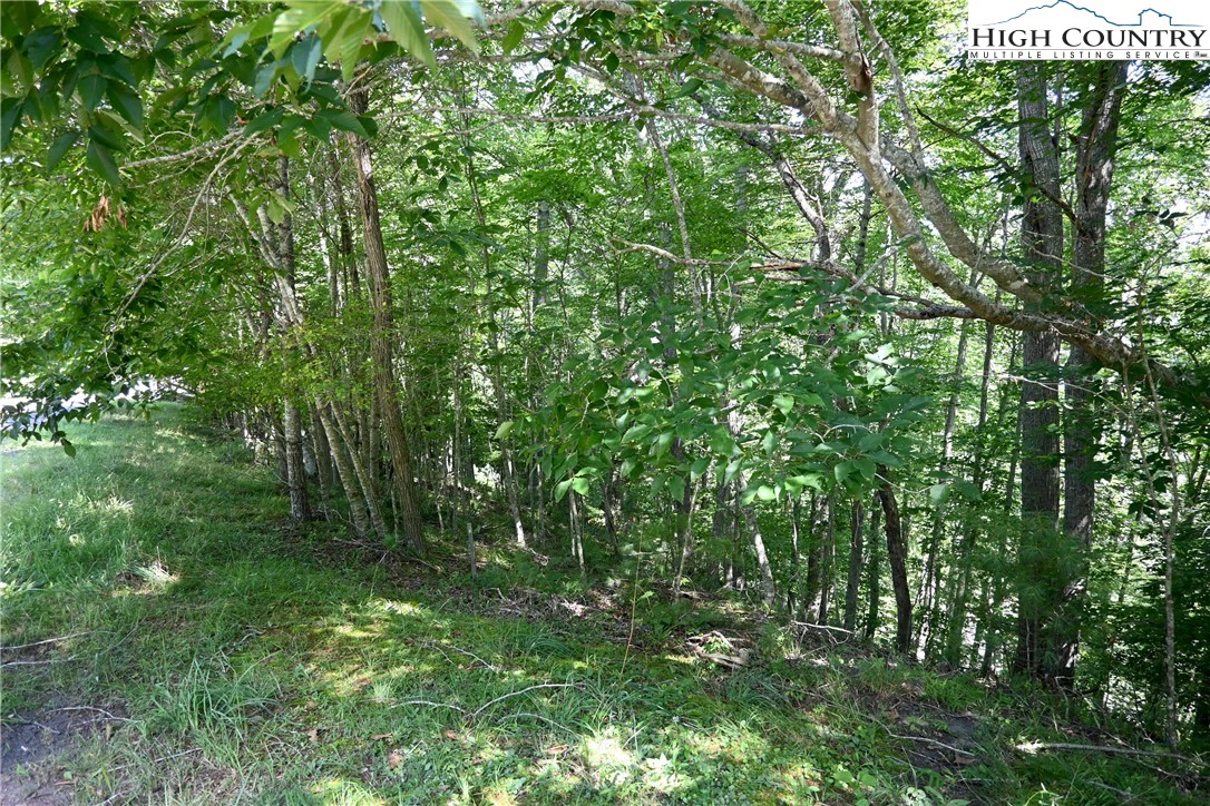 Image number 4 for the current listing