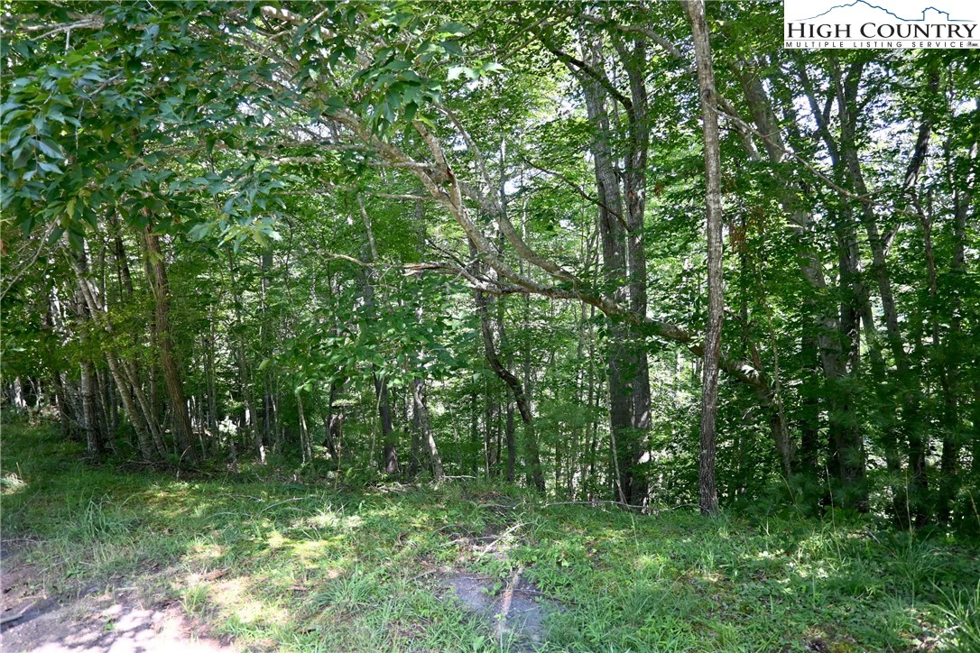 Image number 5 for the current listing