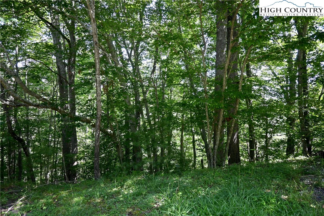 Image number 6 for the current listing