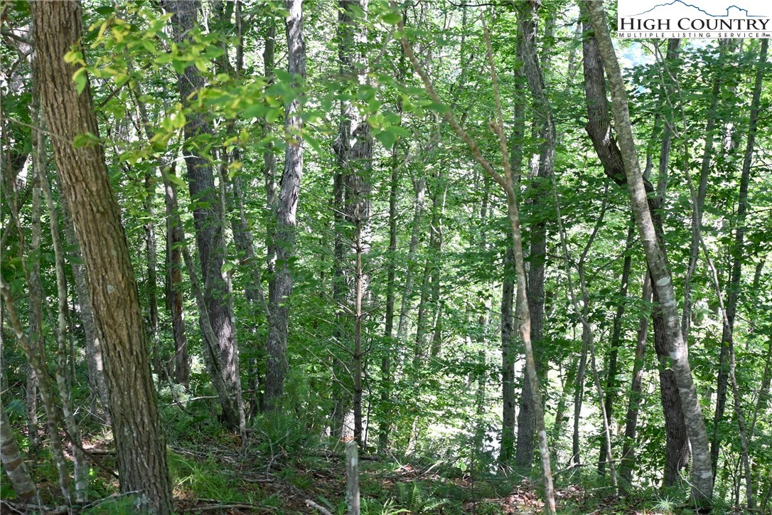 Image number 7 for the current listing