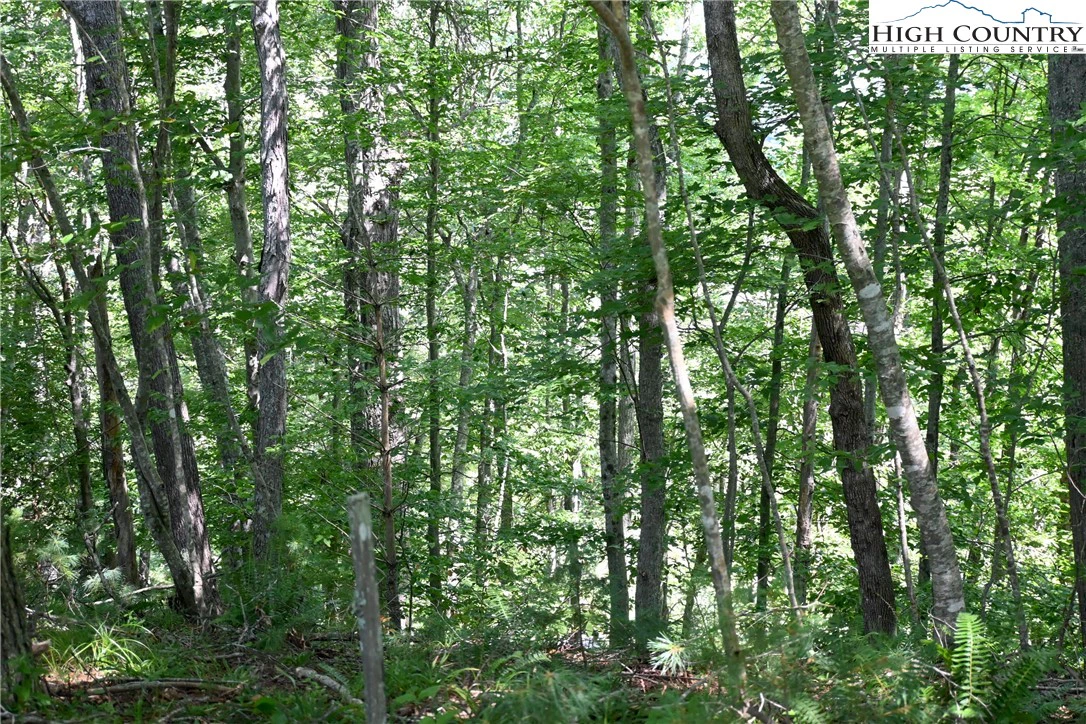 Image number 10 for the current listing