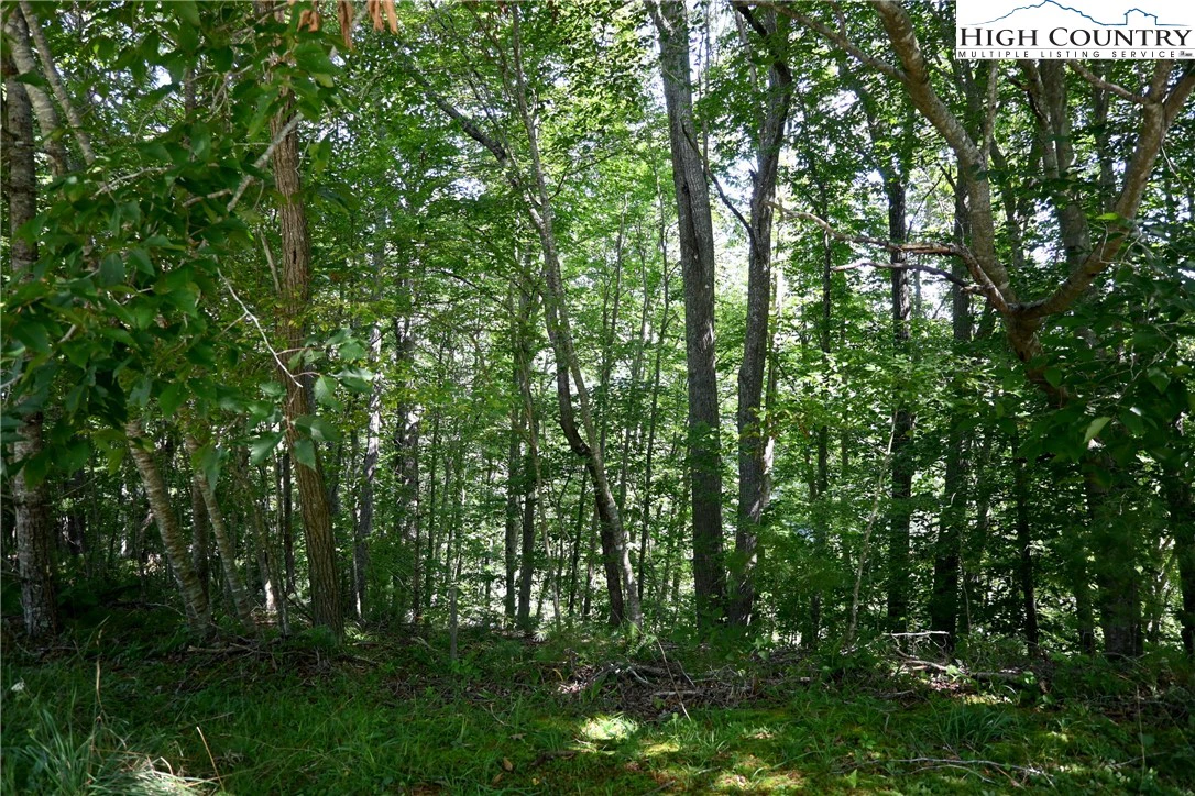 Image number 11 for the current listing