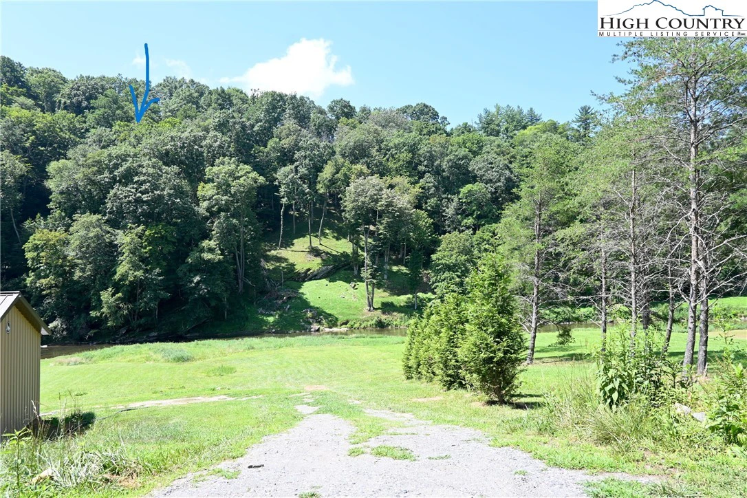 Image number 12 for the current listing