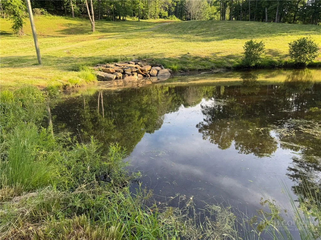 Image number 6 for the current listing