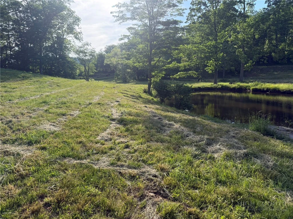 Image number 7 for the current listing