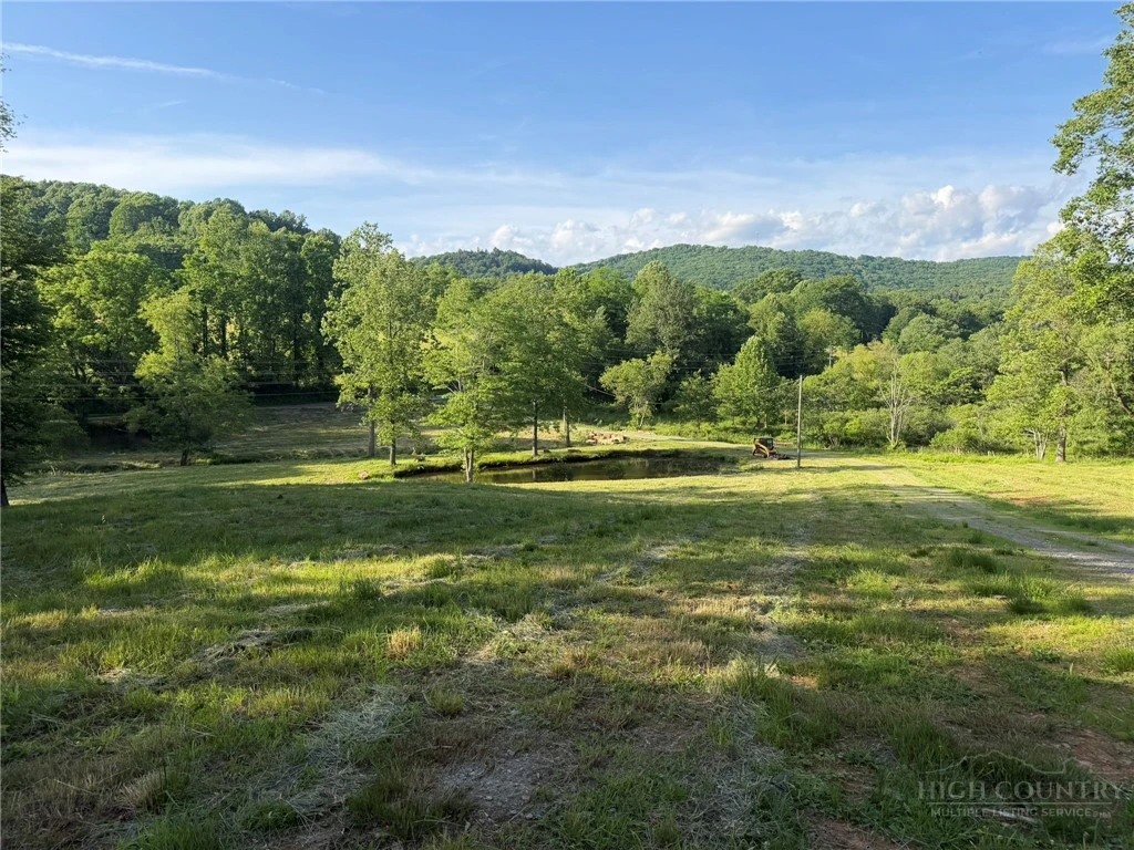 Image number 9 for the current listing