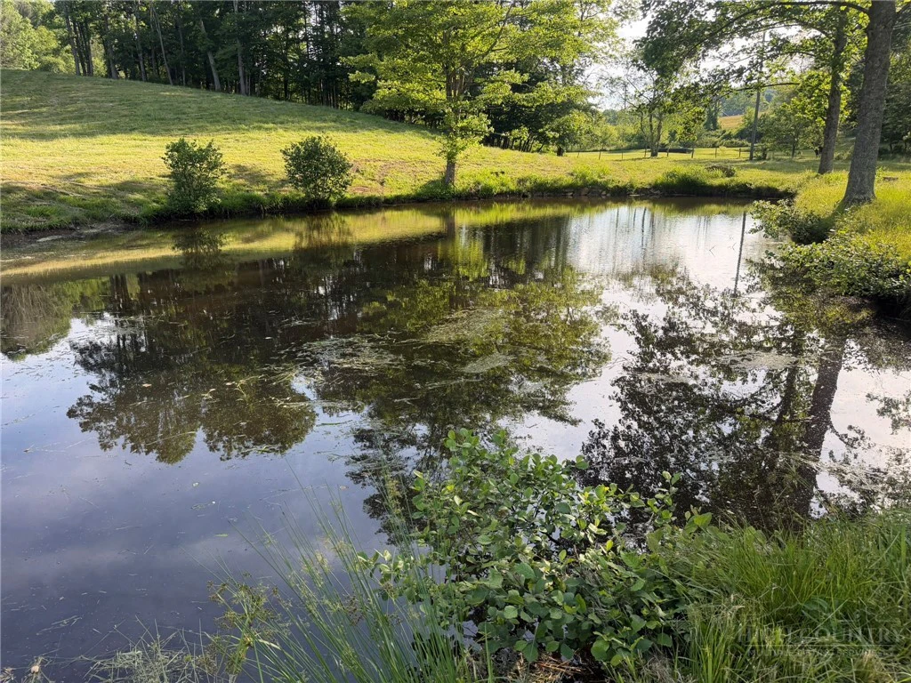 Image number 11 for the current listing
