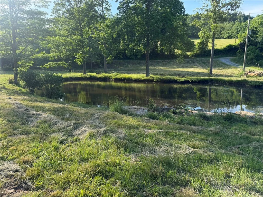 Image number 12 for the current listing