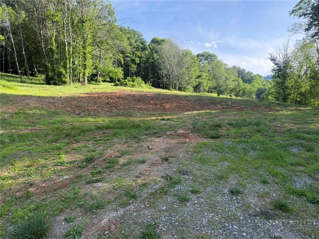 Image number 13 for the current listing