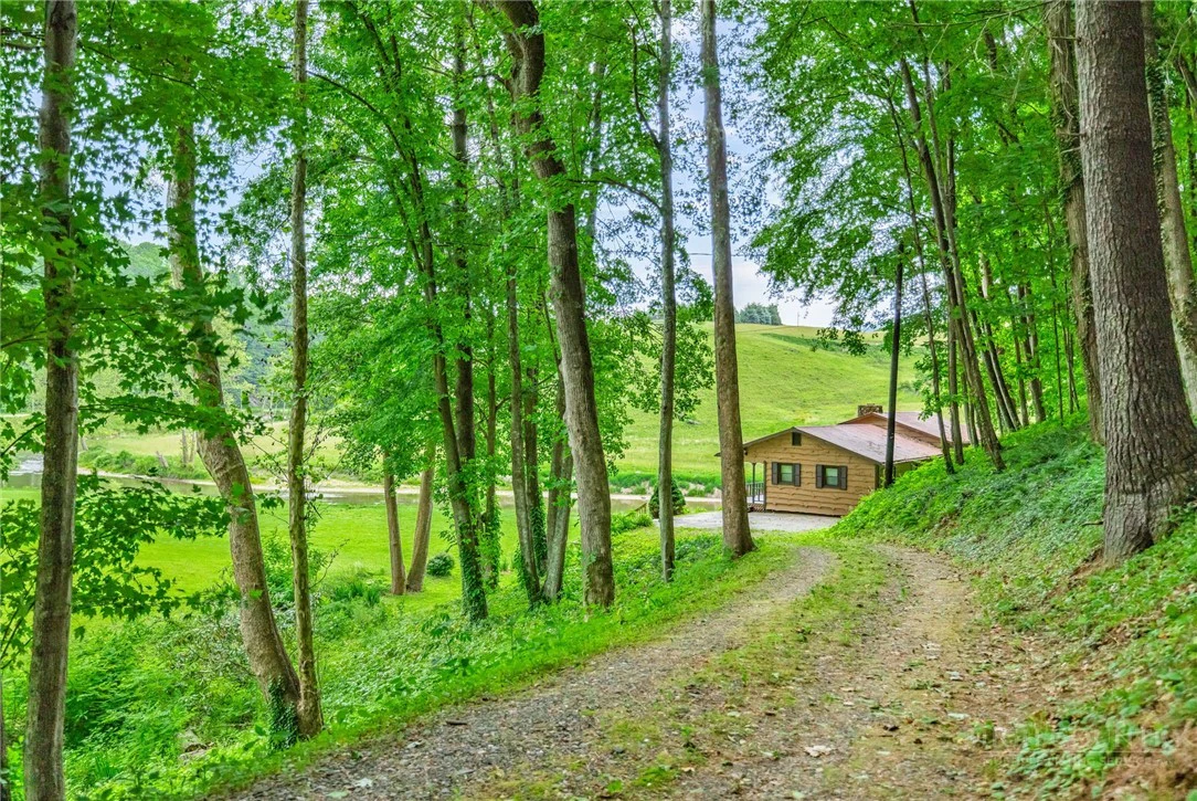 Image number 20 for the current listing