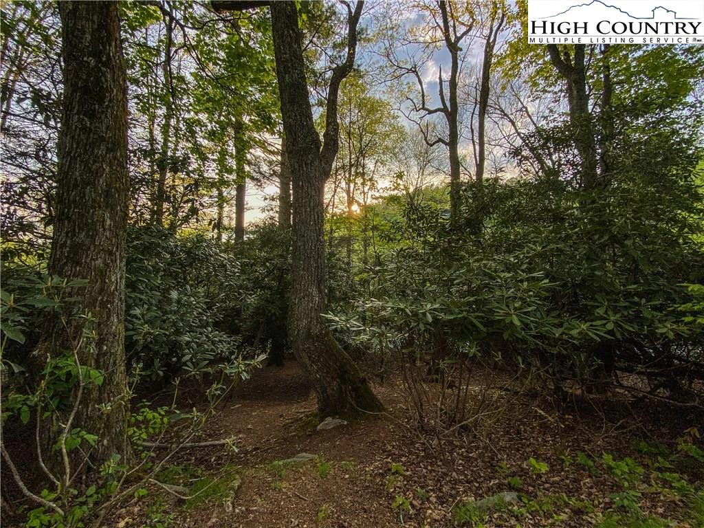 Image number 18 for the current listing