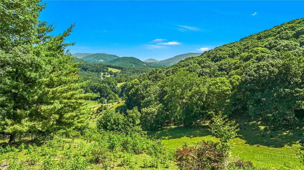 Image number 5 for the current listing