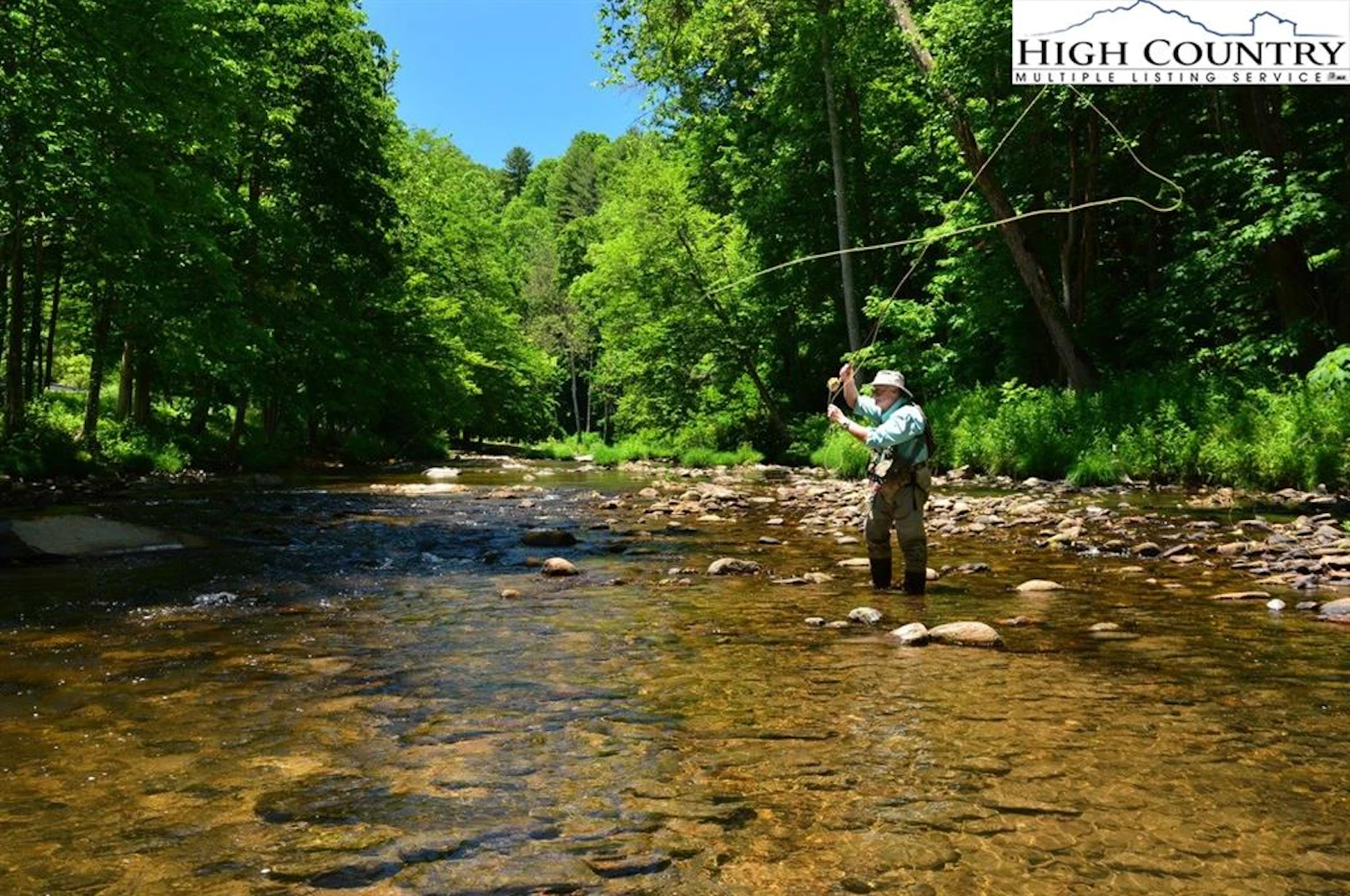 Image number 5 for the current listing