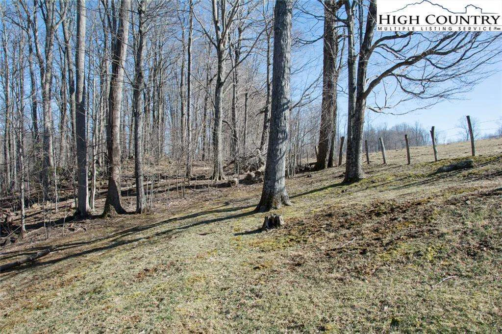 Image number 18 for the current listing