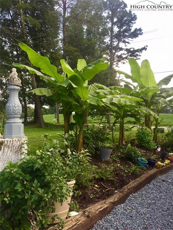 Image number 19 for the current listing