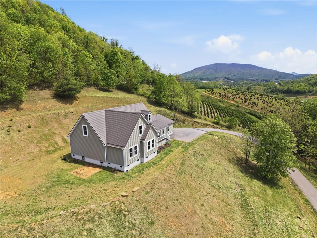 Image number 4 for the current listing