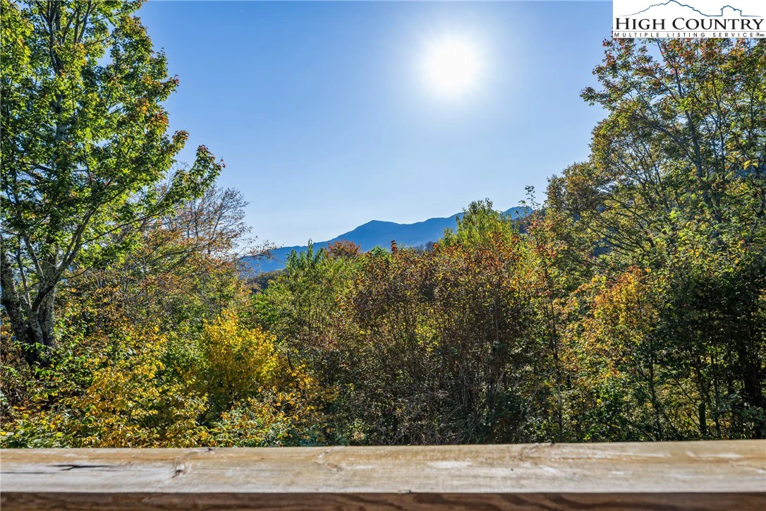 Image number 4 for the current listing