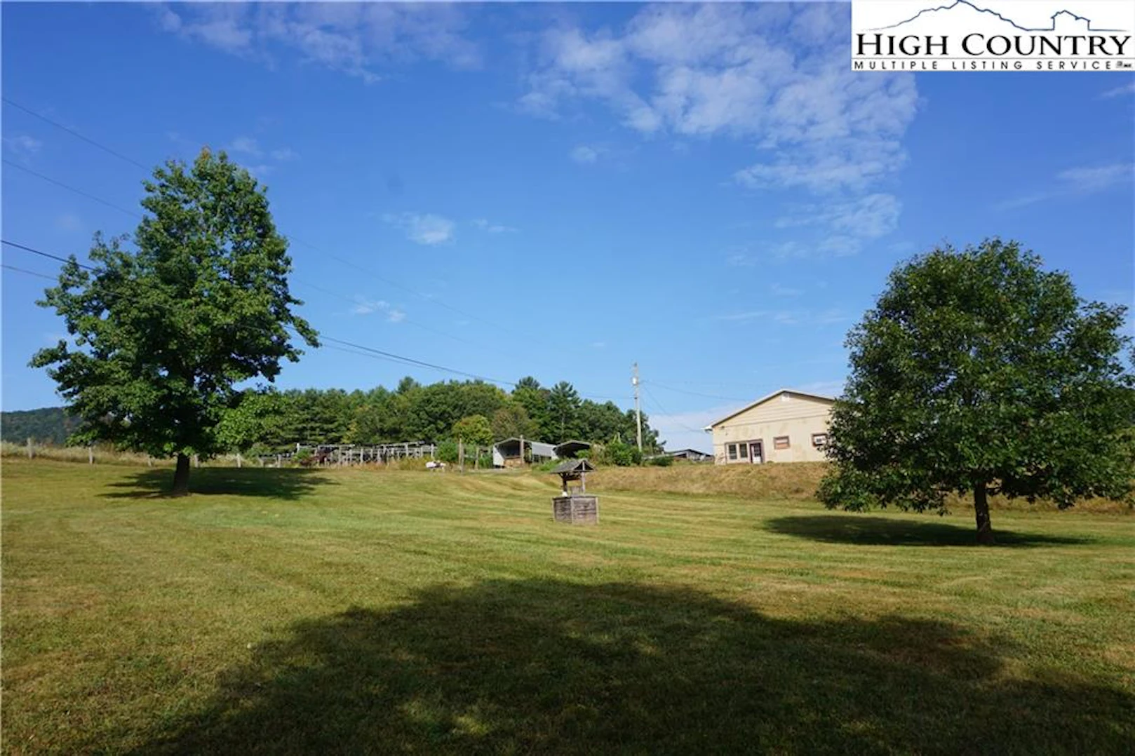 Image number 12 for the current listing