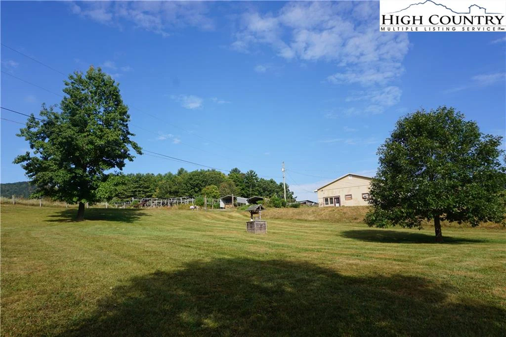 Image number 12 for the current listing