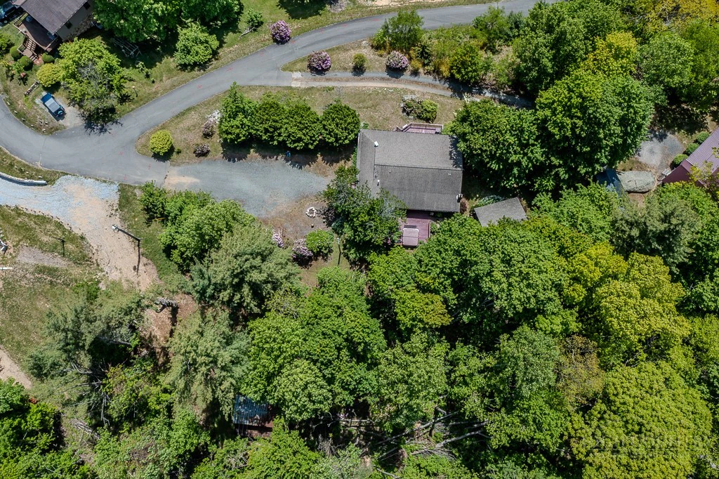 Image number 4 for the current listing