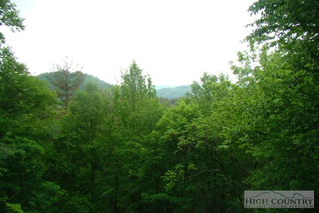 Image number 10 for the current listing