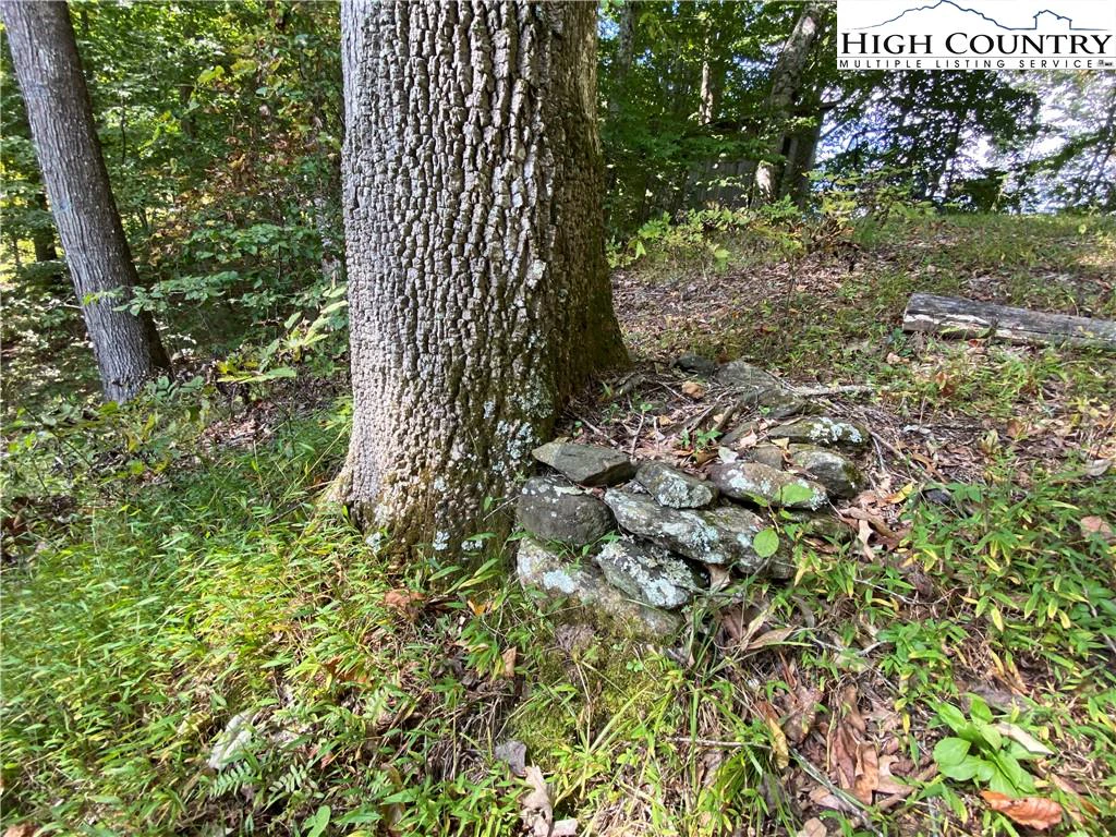 Image number 2 for the current listing