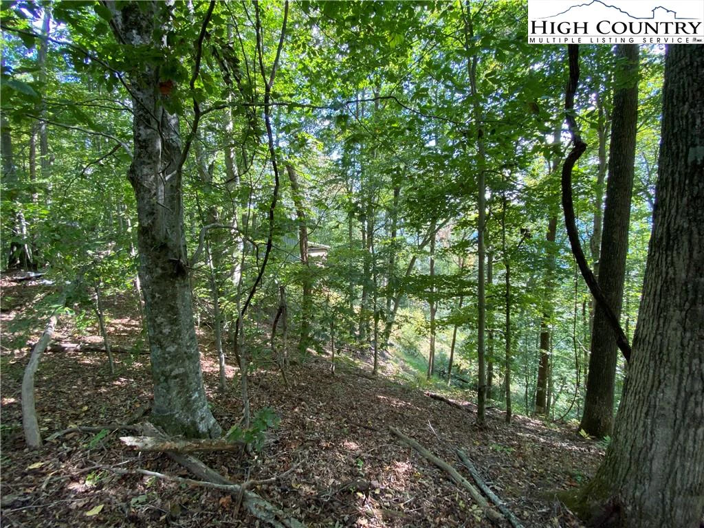 Image number 15 for the current listing