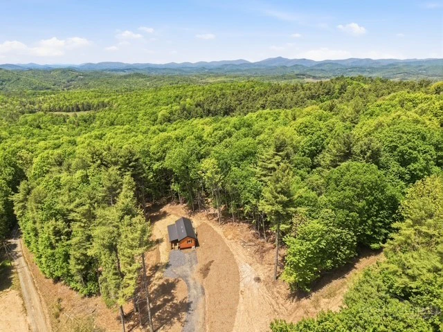 Image number 1 for the current listing
