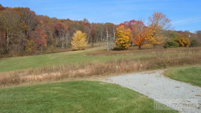 Image number 5 for the current listing
