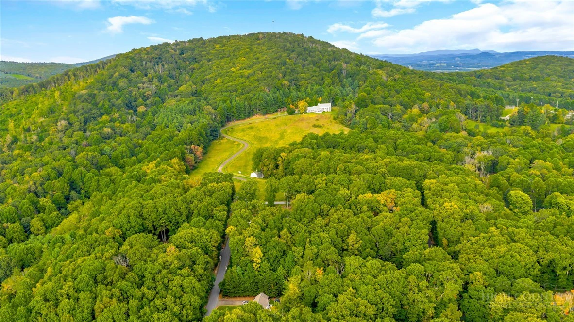 Image number 3 for the current listing