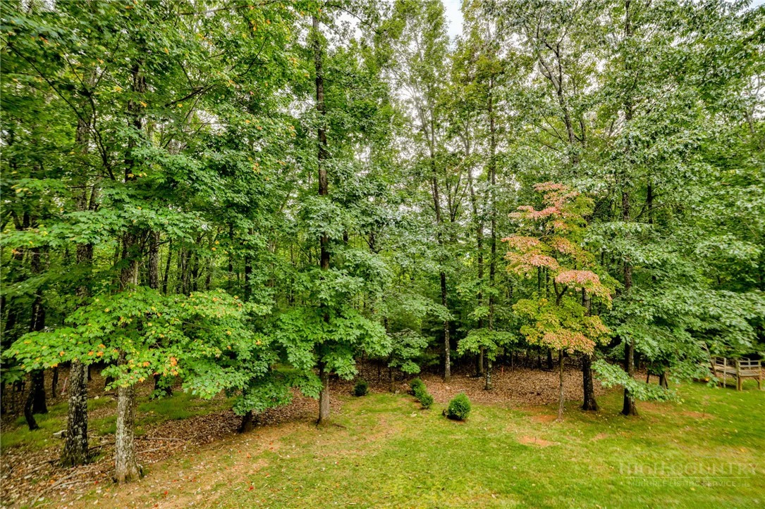 Image number 10 for the current listing