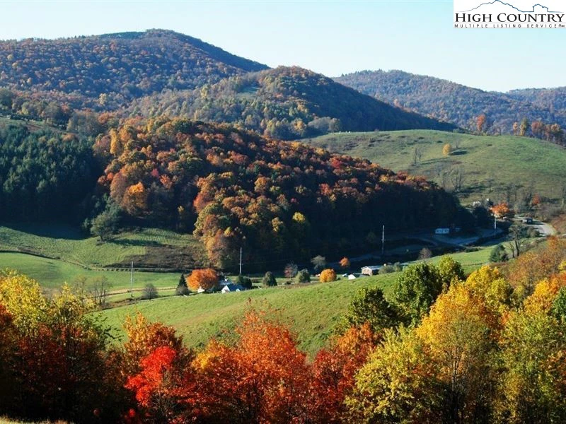 Image number 1 for the current listing