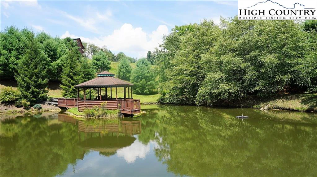 Image number 4 for the current listing