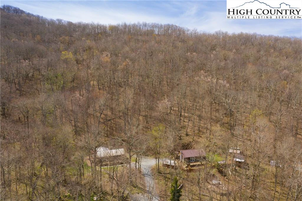 Image number 12 for the current listing