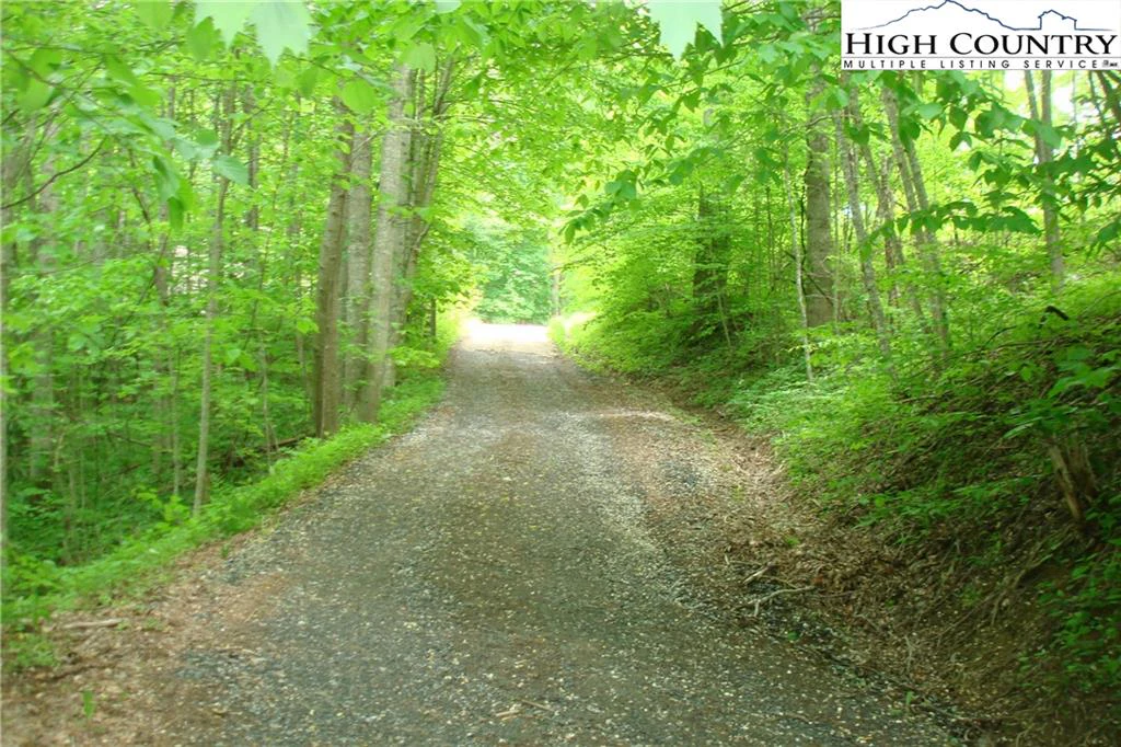 Image number 5 for the current listing