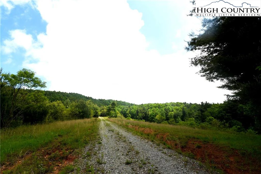 Image number 6 for the current listing